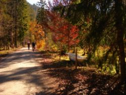 2013-10-26_Schildenstein (007).JPG